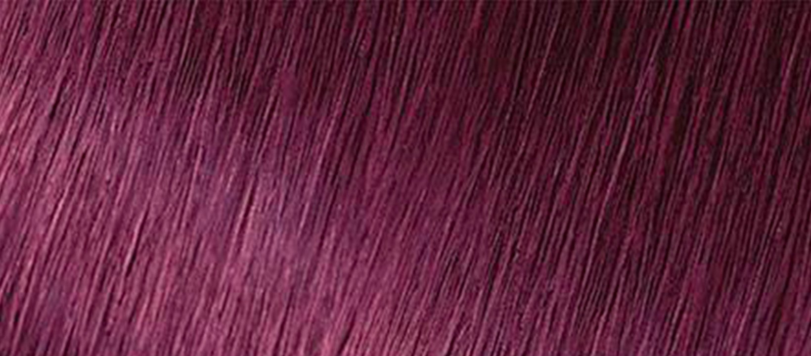 Dark Intense Violet Purple Hair Color | GARNIER